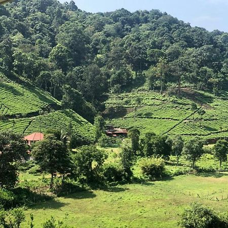Janiro Tea Trees Villas Vythiri Eksteriør billede