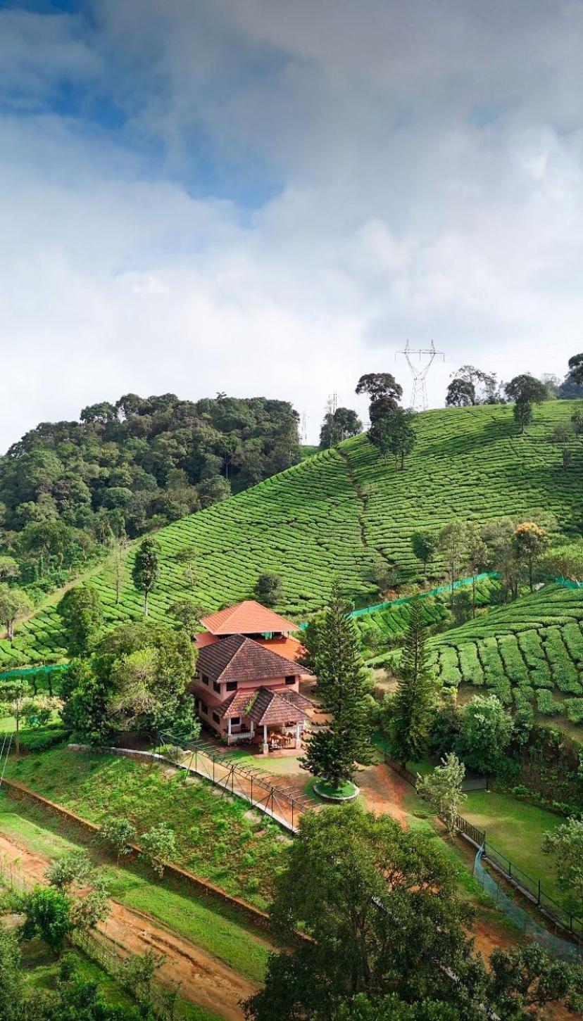 Janiro Tea Trees Villas Vythiri Eksteriør billede