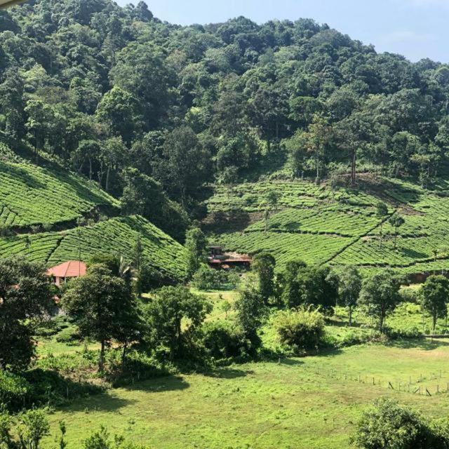Janiro Tea Trees Villas Vythiri Eksteriør billede