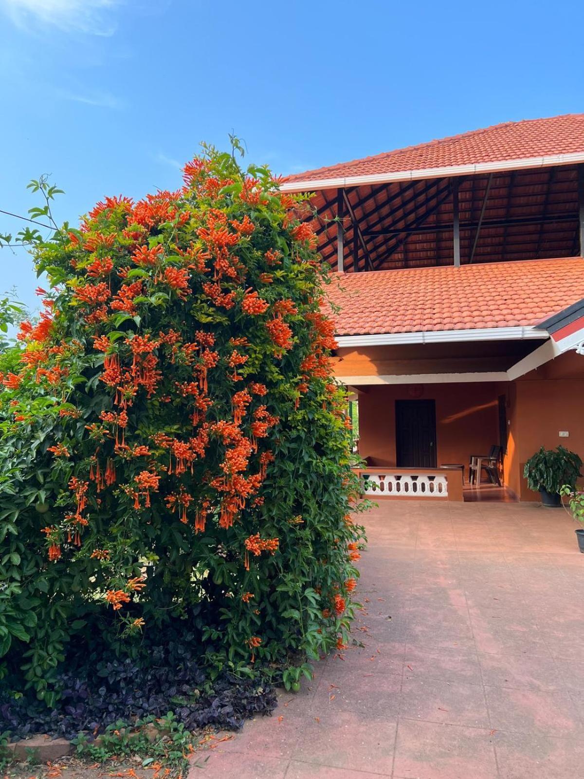 Janiro Tea Trees Villas Vythiri Eksteriør billede